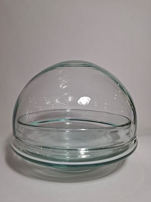 Cloche and Bowl Terrarium (small)