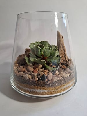 Succulent Terrarium Medium #1