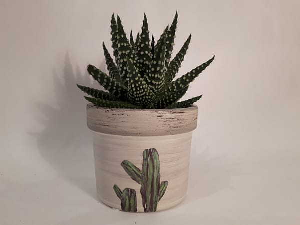 Ceramic cactus pots desert