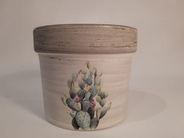 Ceramic cactus pots flower