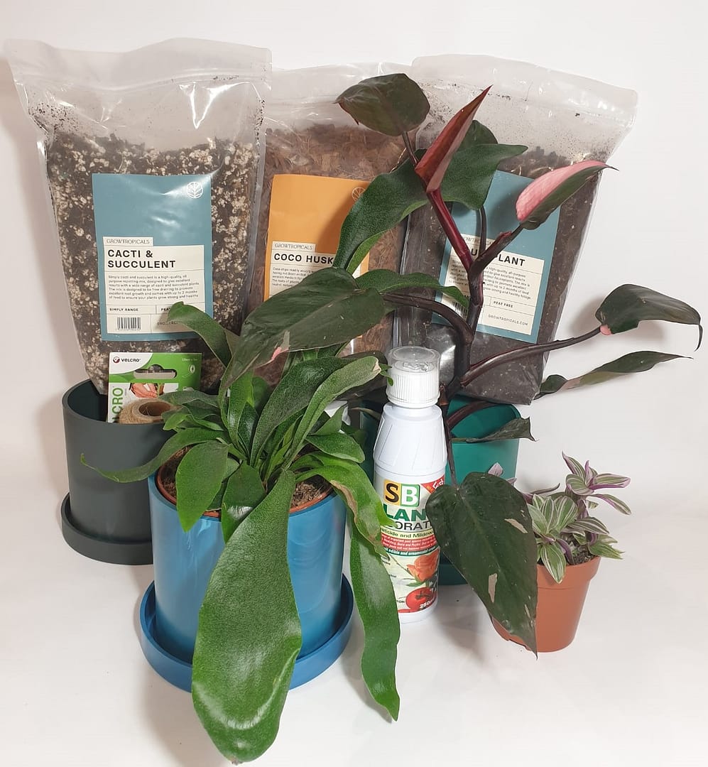plants etc homepage